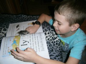 20993_501778873215579_1771976594_n