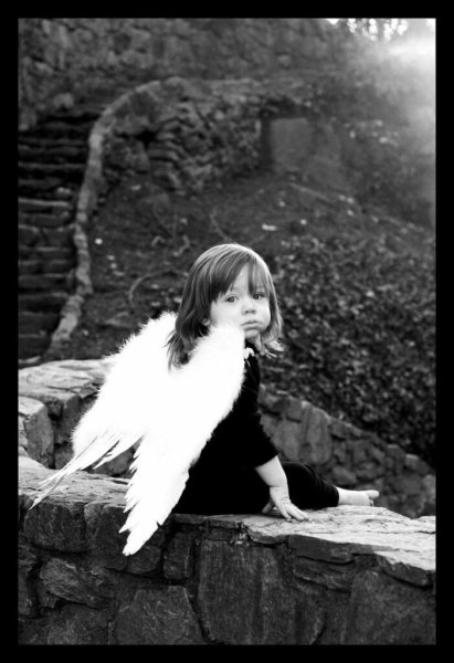 c1db36d0e85d3fa21fb71178c8995d0a